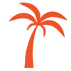 palm tree